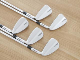 iron_set : ชุดเหล็ก Ping i500 (รุ่นปี 2019) มีเหล็ก 6-Pw (5 ชิ้น) ก้านเหล็ก NS Pro ZELOS 7 Flex R