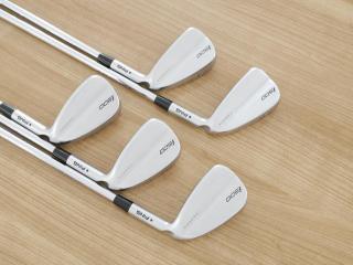 iron_set : ชุดเหล็ก Ping i500 (รุ่นปี 2019) มีเหล็ก 6-Pw (5 ชิ้น) ก้านเหล็ก NS Pro V90 Flex R