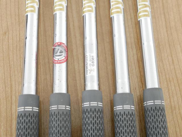 Iron set : Taylormade : ชุดเหล็ก Taylormade P790 (ตัวท้อปสุด ออกปี 2019) มีเหล็ก 6-Pw (5 ชิ้น) ก้านเหล็ก Dynamic Gold 120 VSS S200