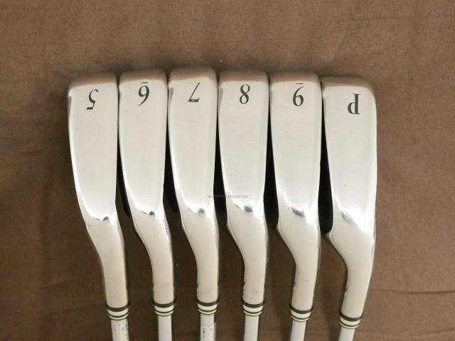 Iron set : XXIO : ชุดเหล็ก XXIO 8 (ใบใหญ่ ตีง่าย ไกล) มีเหล็ก 5-Pw (6 ชิ้น) ก้านเหล็ก NS Pro 900 Flex S