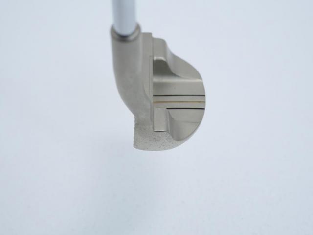 Putter : All : พัตเตอร์ Kasco KP-012 (Mallet) ยาว 34 นิ้ว