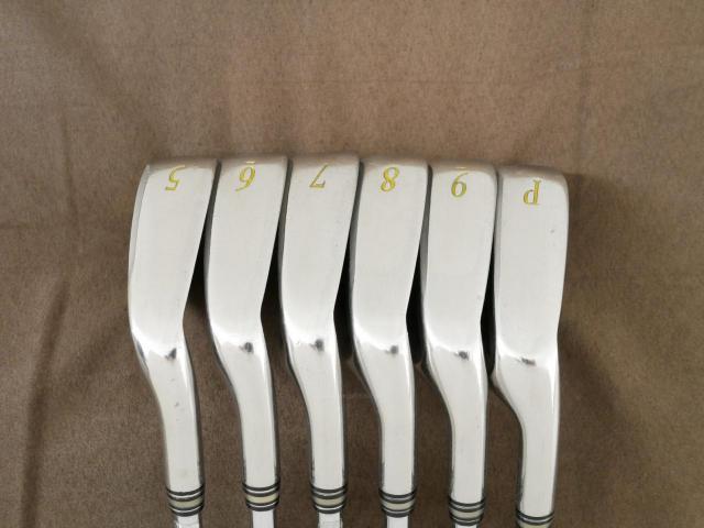 Iron set : XXIO : ชุดเหล็ก XXIO 10 (ปี 2019 ตีง่ายมากๆ ไกลมากๆ) มีเหล็ก 5-Pw (6 ชิ้น) ก้านเหล็ก NS Pro 850 Flex S