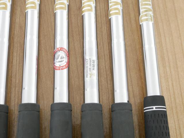 Iron set : Ping : ชุดเหล็ก Ping G410 (รุ่นปี 2019 Japan Spec. ใบใหญ่ ง่าย ไกล) มีเหล็ก 5-Pw (6 ชิ้น) ก้านเหล็ก Dynamic Gold 120 VSS S200