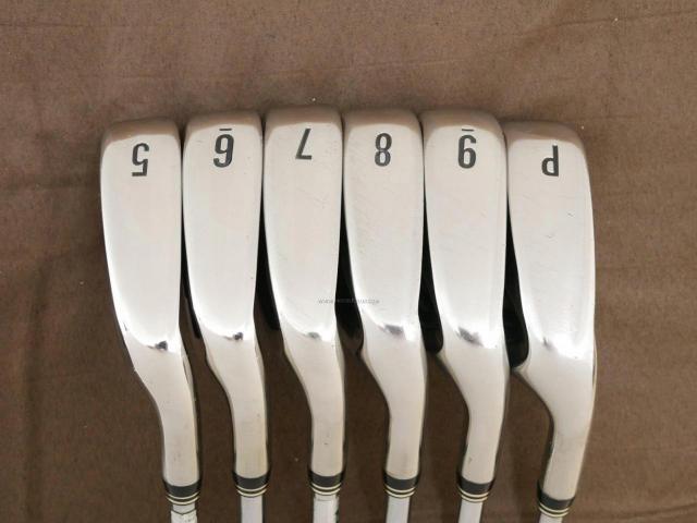 Iron set : XXIO : ชุดเหล็ก XXIO 9 (ตีง่ายมากๆ ปี 2017) มีเหล็ก 5-Pw (6 ชิ้น) ก้านเหล็ก NS Pro 890 DST Flex R
