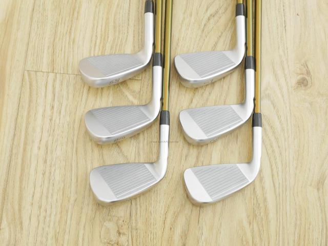 Iron set : Ping : ชุดเหล็ก Ping i210 (ออกปี 2019) มีเหล็ก 5-Pw (6 ชิ้น) ก้านกราไฟต์ Ping ALTA J CB Flex SR