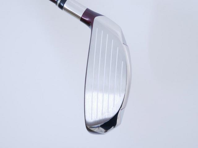 Lady club : All : หัวไม้ 5 Kasco D-Max PYRA Loft 19 Flex L